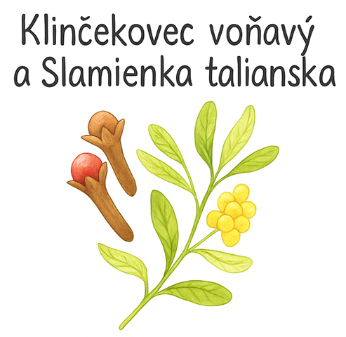 Hřebíčkovec vonný a smil italský